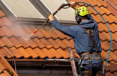 Démoussage et hydrofuge de toiture à Riupeyrous